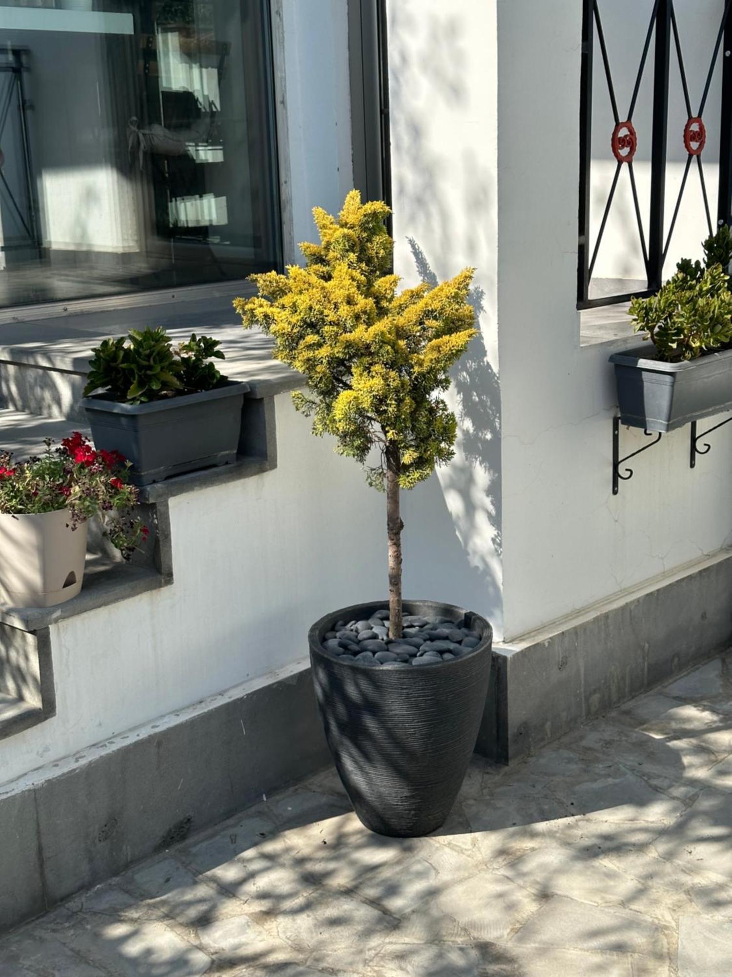 Garden Lounge Hotel 예레반 외부 사진